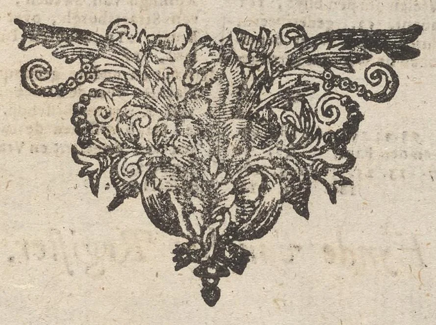 An illustration from Hollandtsche Mercurius : behelzende het ghedenckweerdighste in Christenrijck voor-ghevallen, binnen 't gantsche jaer .., 1650, leaf 236