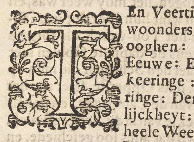 An illustration from Hollandtsche Mercurius : behelzende het ghedenckweerdighste in Christenrijck voor-ghevallen, binnen 't gantsche jaer .., 1650, leaf 734
