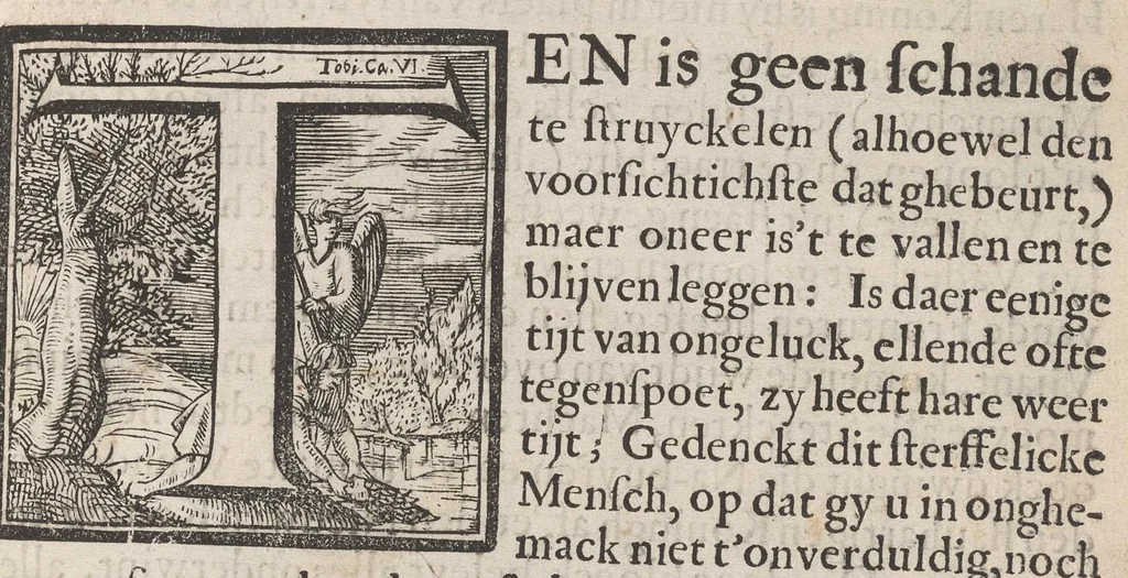 An illustration from Hollandtsche Mercurius : behelzende het ghedenckweerdighste in Christenrijck voor-ghevallen, binnen 't gantsche jaer .., 1650, leaf 10