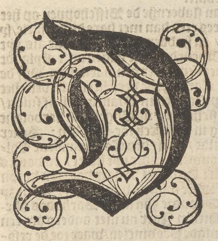 An illustration from Hollandtsche Mercurius : behelzende het ghedenckweerdighste in Christenrijck voor-ghevallen, binnen 't gantsche jaer .., 1650, leaf 10