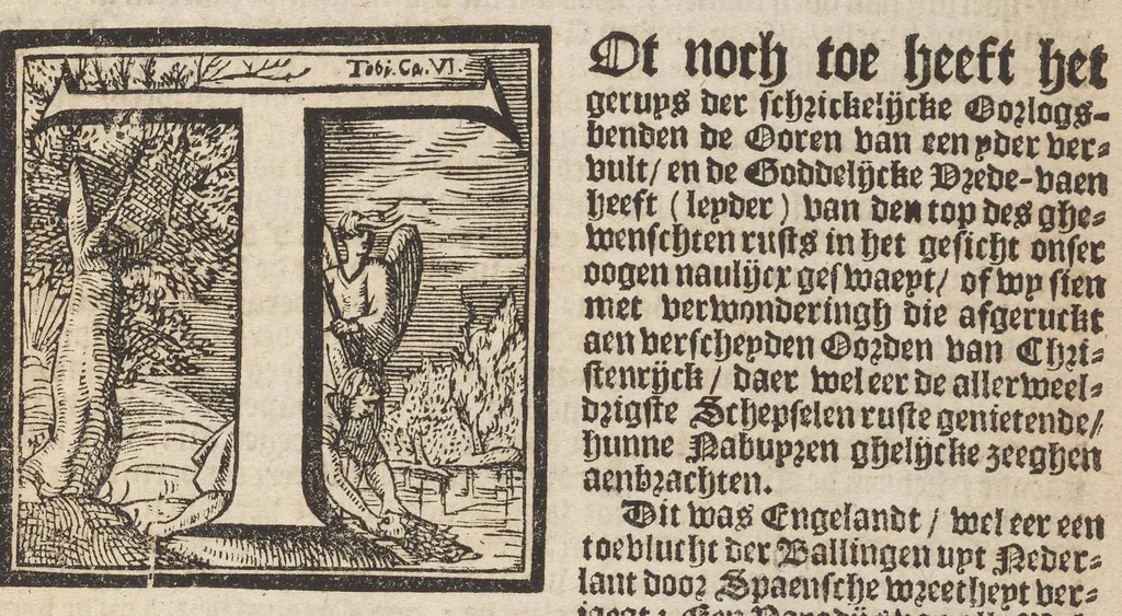 An illustration from Hollandtsche Mercurius : behelzende het ghedenckweerdighste in Christenrijck voor-ghevallen, binnen 't gantsche jaer .., 1650, leaf 14
