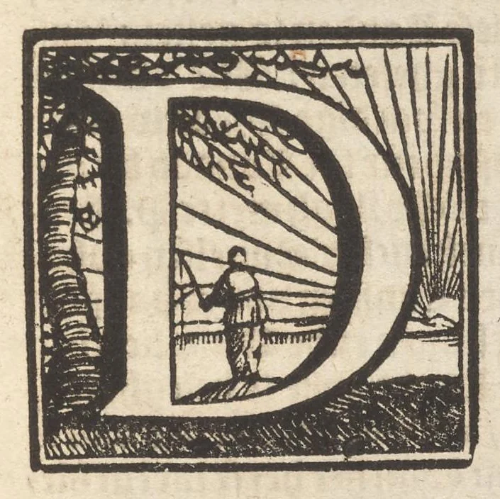 An illustration from Hollandtsche Mercurius : behelzende het ghedenckweerdighste in Christenrijck voor-ghevallen, binnen 't gantsche jaer .., 1650, leaf 460