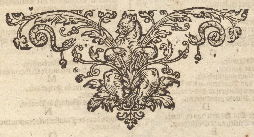 An illustration from Hollandtsche Mercurius : behelzende het ghedenckweerdighste in Christenrijck voor-ghevallen, binnen 't gantsche jaer .., 1650, leaf 608