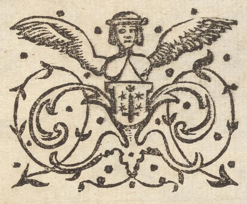 An illustration from Hollandtsche Mercurius : behelzende het ghedenckweerdighste in Christenrijck voor-ghevallen, binnen 't gantsche jaer .., 1650, leaf 610