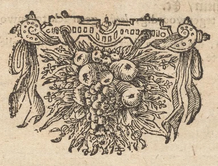 An illustration from Hollandtsche Mercurius : behelzende het ghedenckweerdighste in Christenrijck voor-ghevallen, binnen 't gantsche jaer .., 1650, leaf 324