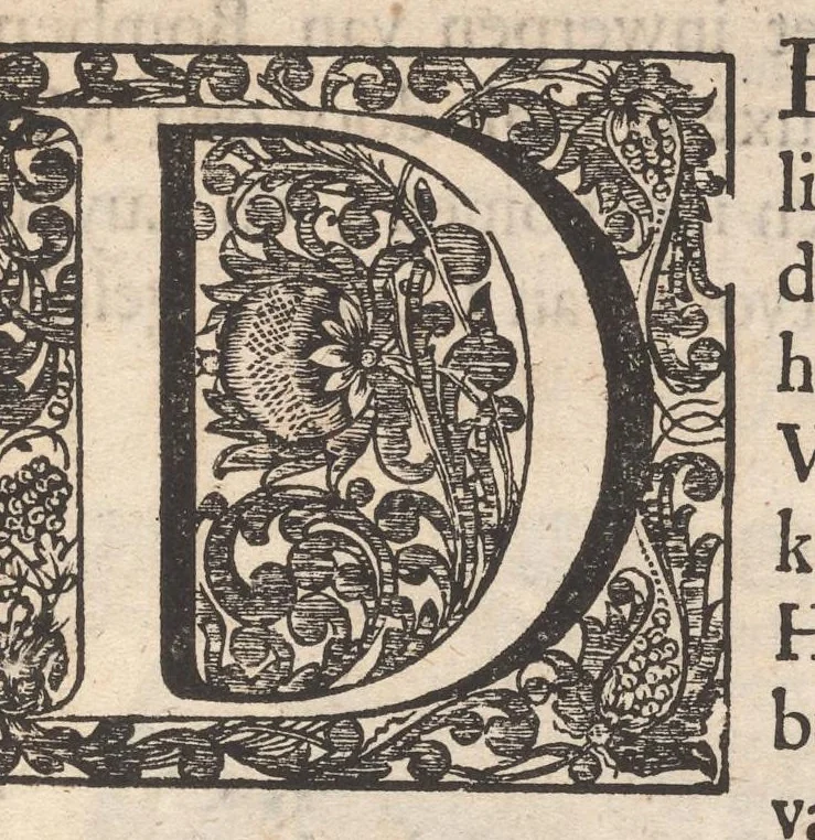 An illustration from Hollandtsche Mercurius : behelzende het ghedenckweerdighste in Christenrijck voor-ghevallen, binnen 't gantsche jaer .., 1650, leaf 4
