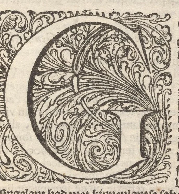 An illustration from Hollandtsche Mercurius : behelzende het ghedenckweerdighste in Christenrijck voor-ghevallen, binnen 't gantsche jaer .., 1650, leaf 6
