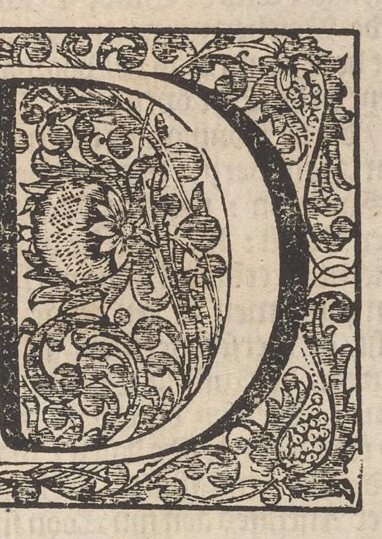 An illustration from Hollandtsche Mercurius : behelzende het ghedenckweerdighste in Christenrijck voor-ghevallen, binnen 't gantsche jaer .., 1650, leaf 304