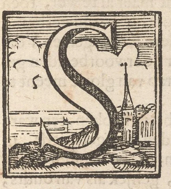 An illustration from Hollandtsche Mercurius : behelzende het ghedenckweerdighste in Christenrijck voor-ghevallen, binnen 't gantsche jaer .., 1650, leaf 804