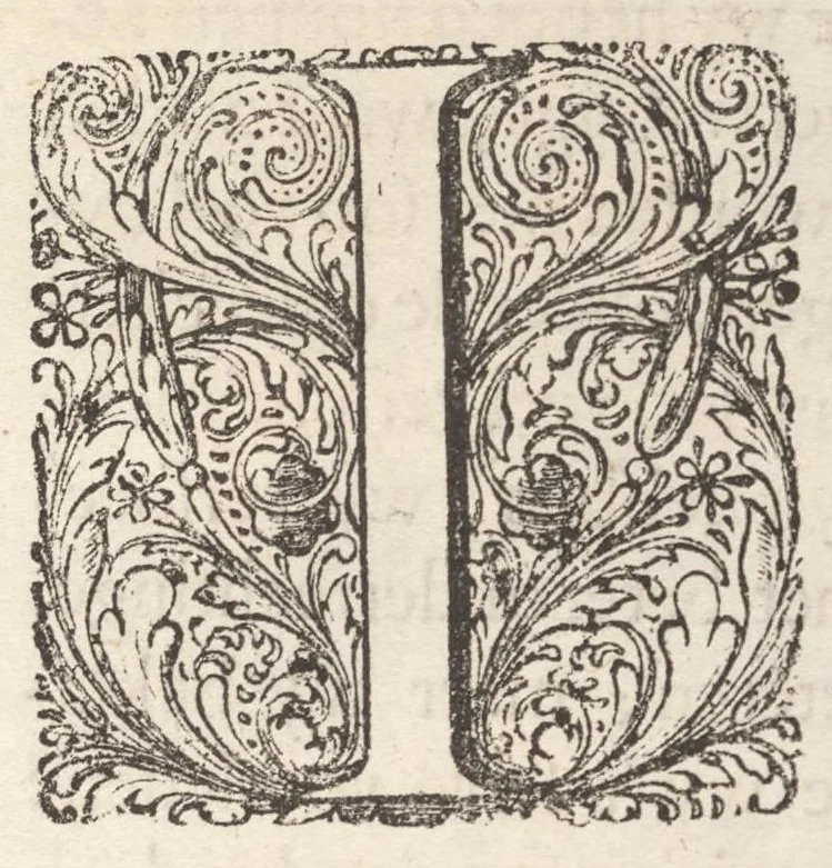 An illustration from Hollandtsche Mercurius : behelzende het ghedenckweerdighste in Christenrijck voor-ghevallen, binnen 't gantsche jaer .., 1650, leaf 6