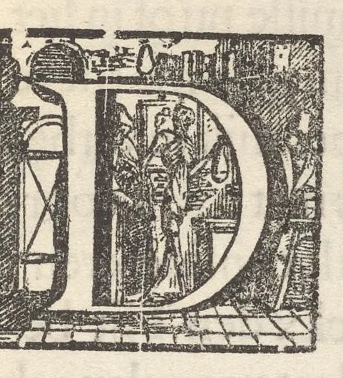 An illustration from Hollandtsche Mercurius : behelzende het ghedenckweerdighste in Christenrijck voor-ghevallen, binnen 't gantsche jaer .., 1650, leaf 8