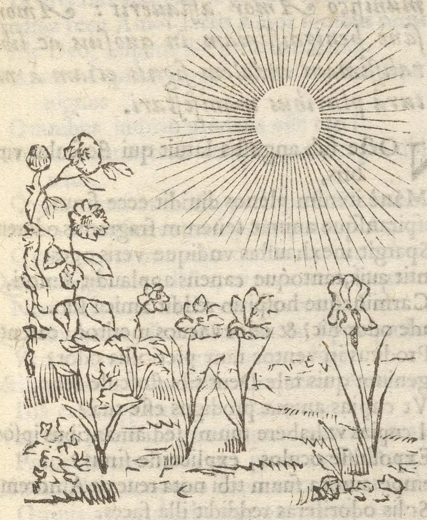 An illustration from Guilielmi HesI Antuerpiensis è Societate Iesu Emblemata sacra de fide, spe, charitate, 1636, leaf 300