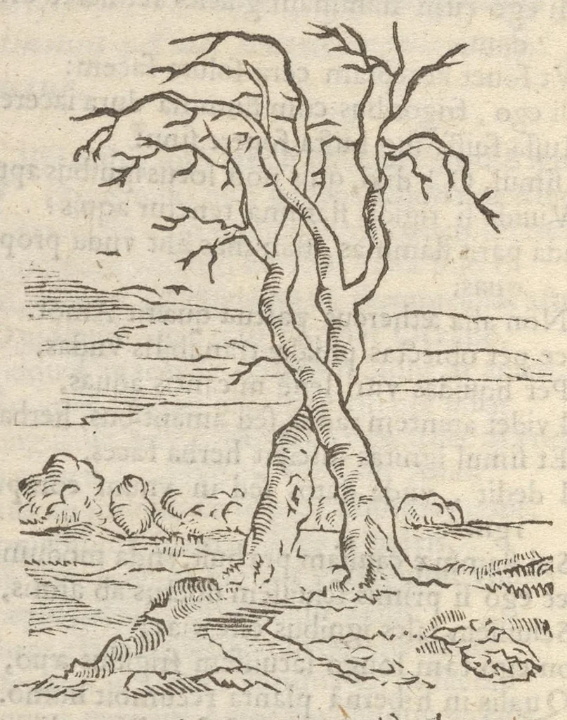An illustration from Guilielmi HesI Antuerpiensis è Societate Iesu Emblemata sacra de fide, spe, charitate, 1636, leaf 397