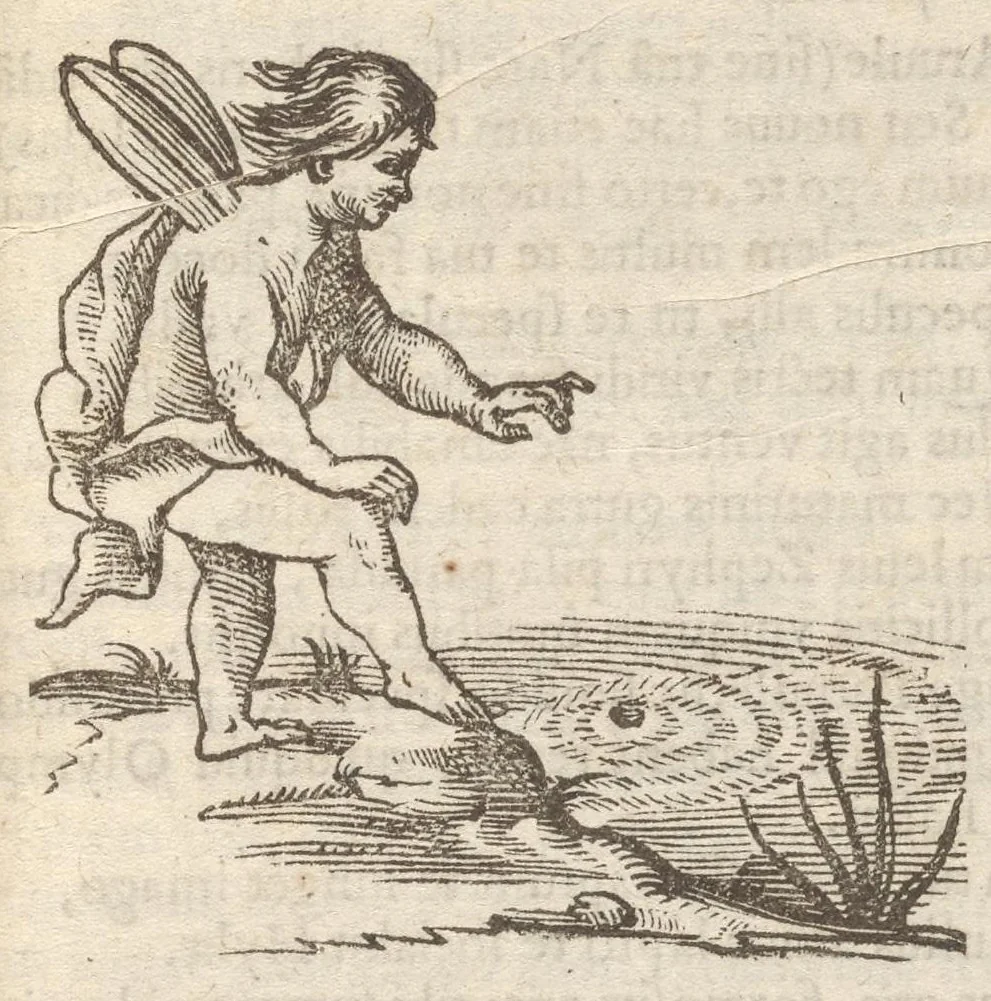 An illustration from Guilielmi HesI Antuerpiensis è Societate Iesu Emblemata sacra de fide, spe, charitate, 1636, leaf 80