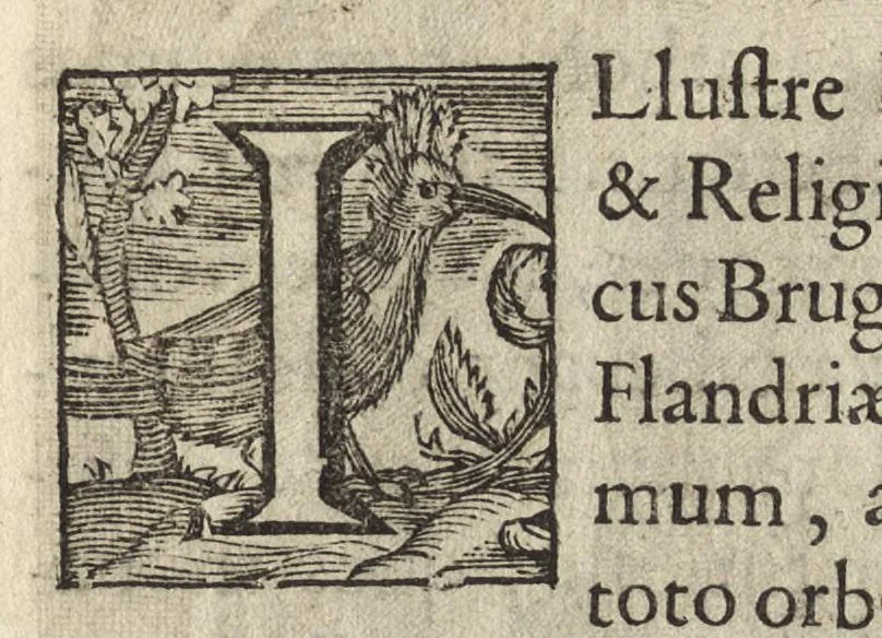 An illustration from Virorum illustrium ex ordine eremitarum D. Augustini elogia : cum singulorvm expressis ad viuum iconibus, 1636, leaf 214