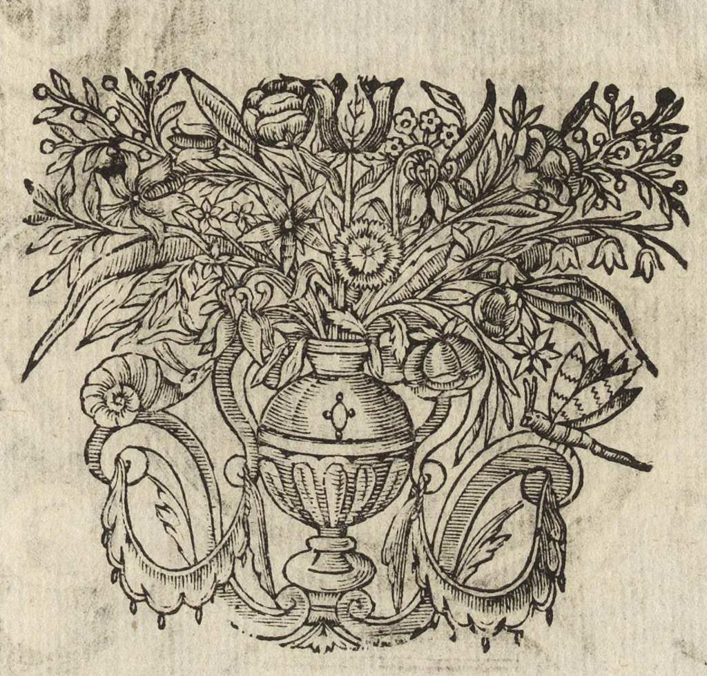 An illustration from Virorum illustrium ex ordine eremitarum D. Augustini elogia : cum singulorvm expressis ad viuum iconibus, 1636, leaf 246