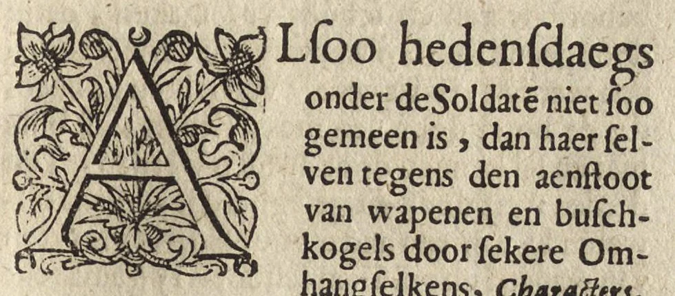 An illustration from Verhandelingh der toover-sieckten ; Geschil van de schôot-en steeck-vrije ; Geschil van de wapen-salve ; Paracelsi vrye-konst, 1638, leaf 232
