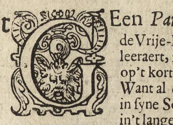 An illustration from Verhandelingh der toover-sieckten ; Geschil van de schôot-en steeck-vrije ; Geschil van de wapen-salve ; Paracelsi vrye-konst, 1638, leaf 304
