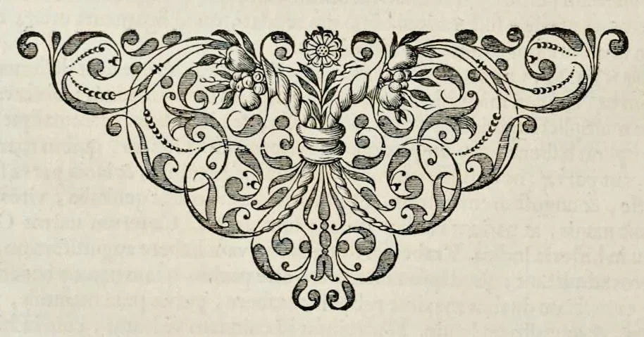 An illustration from Adriani Spigelii Bruxellensis equitis D. Marci, olim in Patavino gymnasio anatomiae et chirurgiae professoris primarii Opera quae extant, omnia, 1645, leaf 47