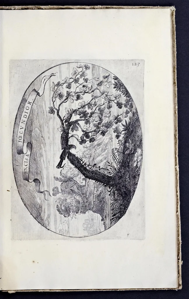 An illustration from Racconto delle sontuose esequie fatte alla serenissima Isabella reina di Spagna nella chiesa maggiore della città di Milano il giorno xxij. decembre dell'anno M.D.C.XLIV, 1645, leaf 134