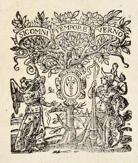 An illustration from Nicolai Vptoni De studio militari, libri quatuor. Iohan. de Bado Aureo, Tractatus de armis. Henrici Spelmanni Aspilogia, 1654, leaf 280