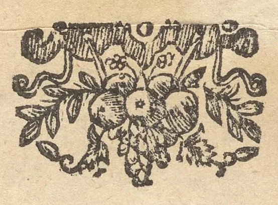 An illustration from Lux evangelica sub velum sacrorum emblematum recondita in anni dominicas selecta historia & morali doctrina variè adumbrata, 1655, leaf 136