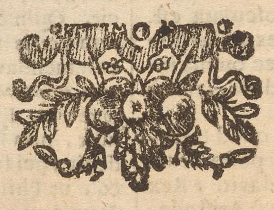An illustration from Lux evangelica sub velum sacrorum emblematum recondita in anni dominicas selecta historia & morali doctrina variè adumbrata, 1655, leaf 469