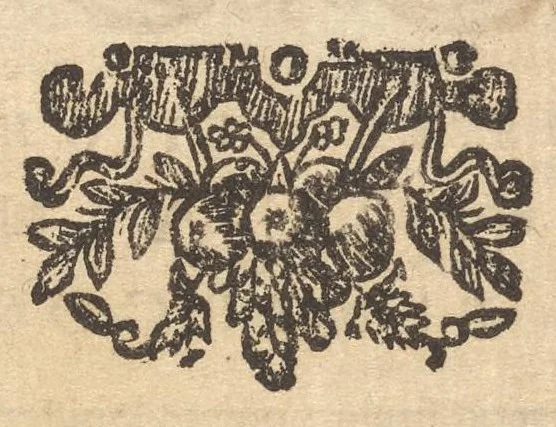 An illustration from Lux evangelica sub velum sacrorum emblematum recondita in anni dominicas selecta historia & morali doctrina variè adumbrata, 1655, leaf 484