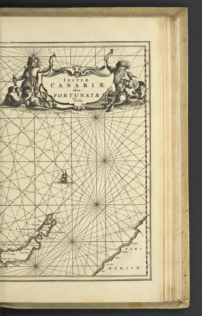 An illustration from Naukeurige beschrijvinge der Afrikaensche eylanden : als Madagaskar, of Sant Laurens, Sant Thomee, d'eilanden van Kanarien, Kaep de Verd, Malta, en andere ..., 1668, leaf 116