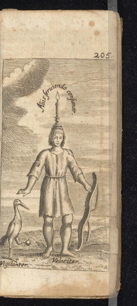 An illustration from Politische Philosophie : welche von denen fürnehmsten Arcanis der allgemeinen Policey tractirt, dieselbe mit allerhand politischen Discursen erleutert, und mit unterschiedlichen schönen Historien bekräfftiget, nicht weniger auch heutiger Statisten subtile und Machiavellische Griff an das helle Taglicht stellet, 1668, leaf 248