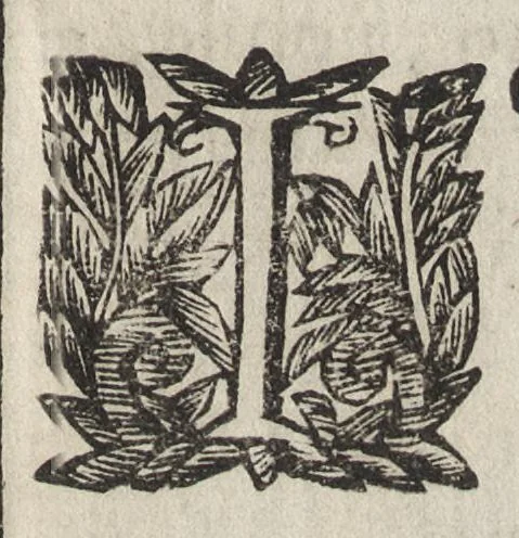 An illustration from Memorie imprese, e ritratti de' signori Accademici Gelati di Bologna, 1672, leaf 14