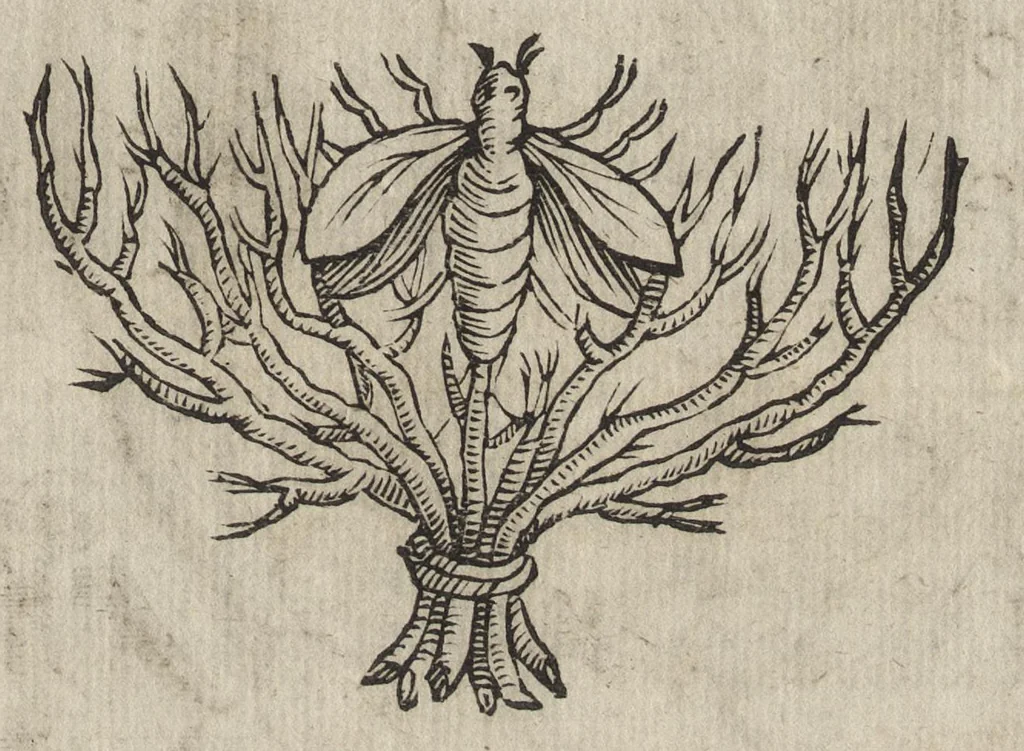 An illustration from Memorie imprese, e ritratti de' signori Accademici Gelati di Bologna, 1672, leaf 346