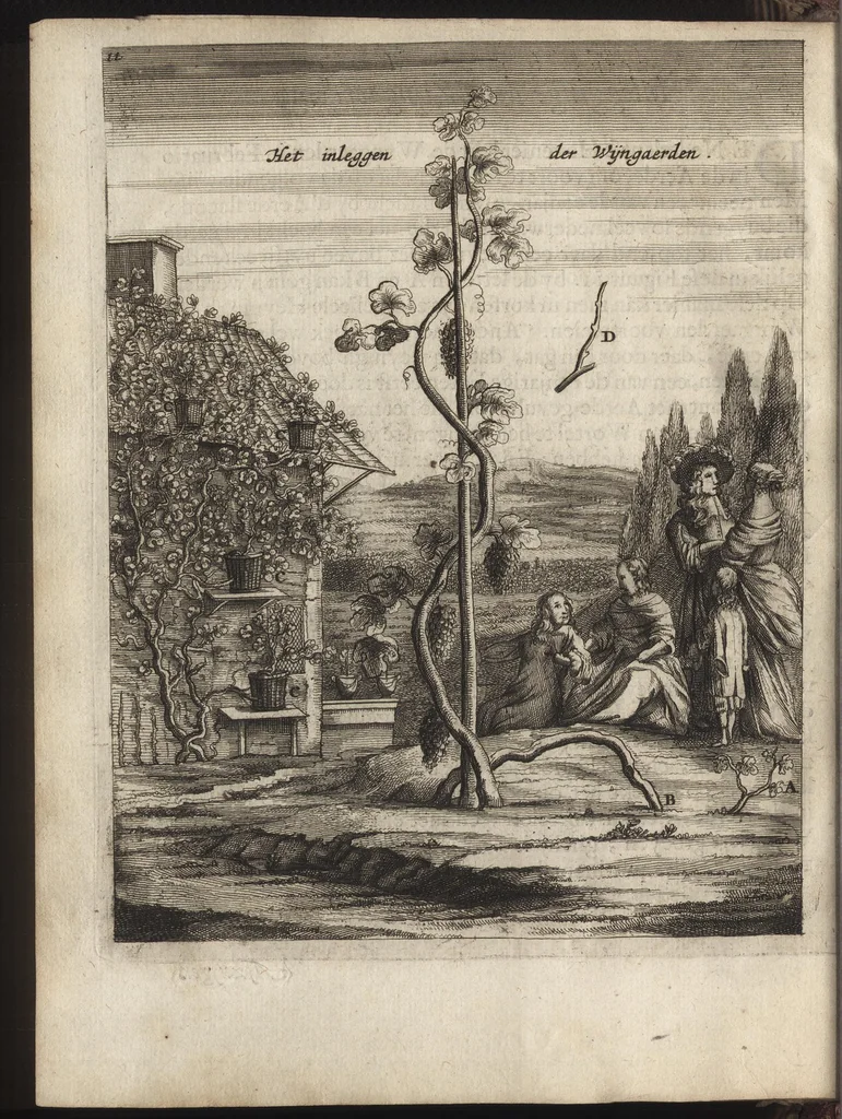 An illustration from Het vermakelijck landt-leven : bestaende in de volgende deelen .., 1669, leaf 125
