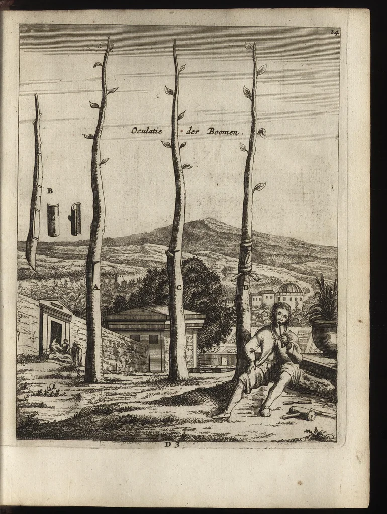 An illustration from Het vermakelijck landt-leven : bestaende in de volgende deelen .., 1669, leaf 130