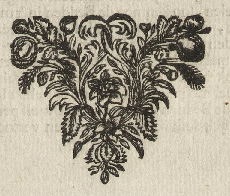 An illustration from Het vermakelijck landt-leven : bestaende in de volgende deelen .., 1669, leaf 180