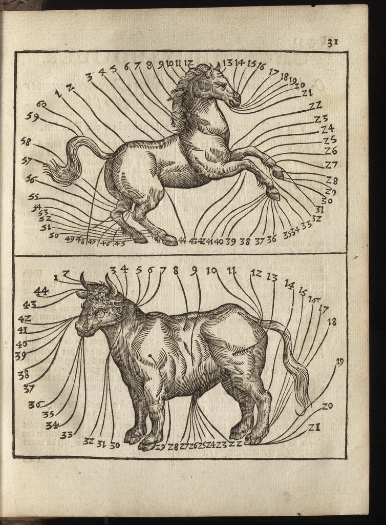 An illustration from Het vermakelijck landt-leven : bestaende in de volgende deelen .., 1669, leaf 264