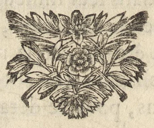 An illustration from Traité de l'usage du pantometre : instrument geometrique propre à prendre toutes fortes d'angles, mezurer les distances accessibles & inaccessibles, arpenter & diviser toutes fortes de figure, &c., nouvellement inventé par le Sr. Bullet, architecte & ingenieur du roi & de la ville, 1675, leaf 155