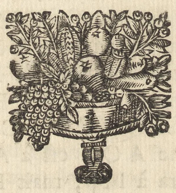 An illustration from Traité de l'usage du pantometre : instrument geometrique propre à prendre toutes fortes d'angles, mezurer les distances accessibles & inaccessibles, arpenter & diviser toutes fortes de figure, &c., nouvellement inventé par le Sr. Bullet, architecte & ingenieur du roi & de la ville, 1675, leaf 235