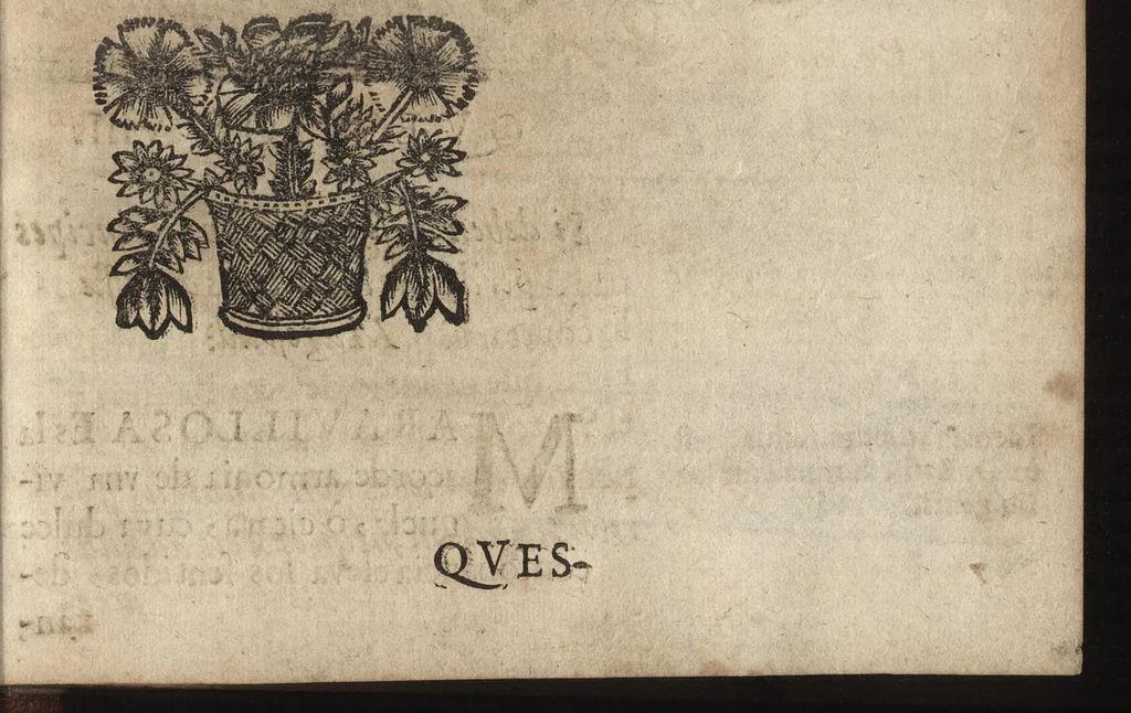 An illustration from L. Anneo Seneca ilustrado en blasones politicos y morales : y su impugnador impugnado de si mismo, 1670, leaf 172