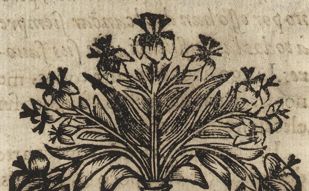 An illustration from L. Anneo Seneca ilustrado en blasones politicos y morales : y su impugnador impugnado de si mismo, 1670, leaf 91