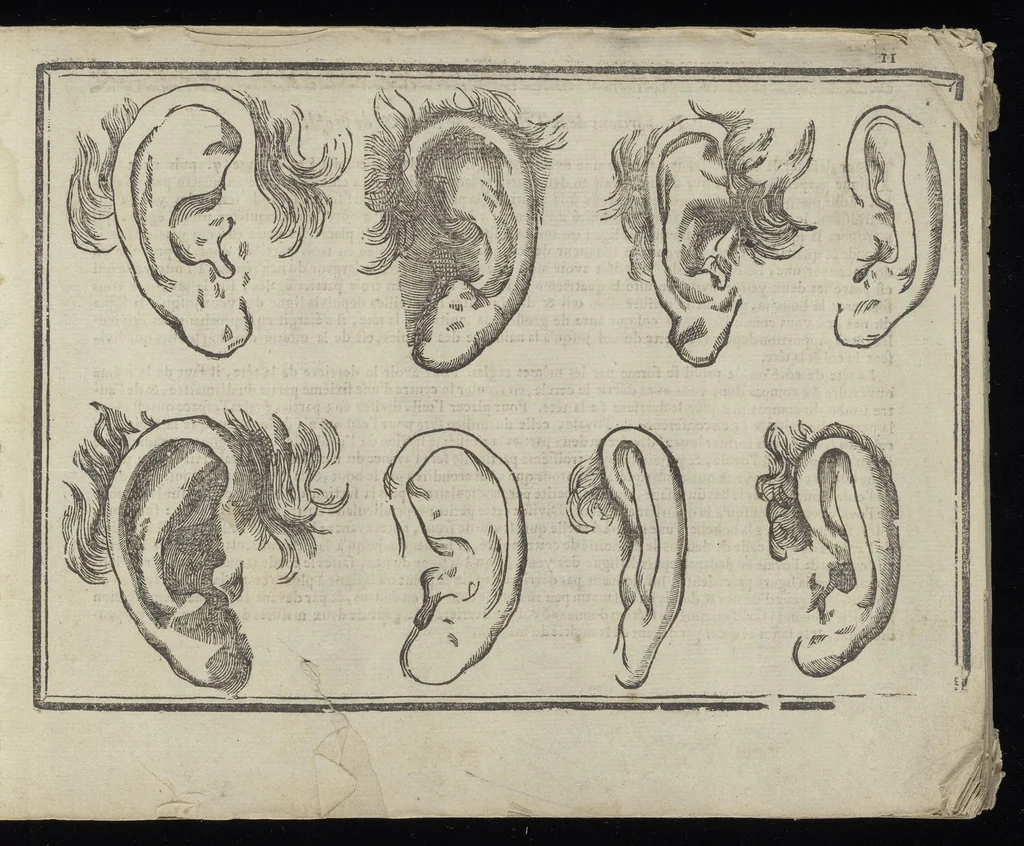 An illustration from L'art de dessiner de Maistre Jean Cousin, 1685, leaf 14