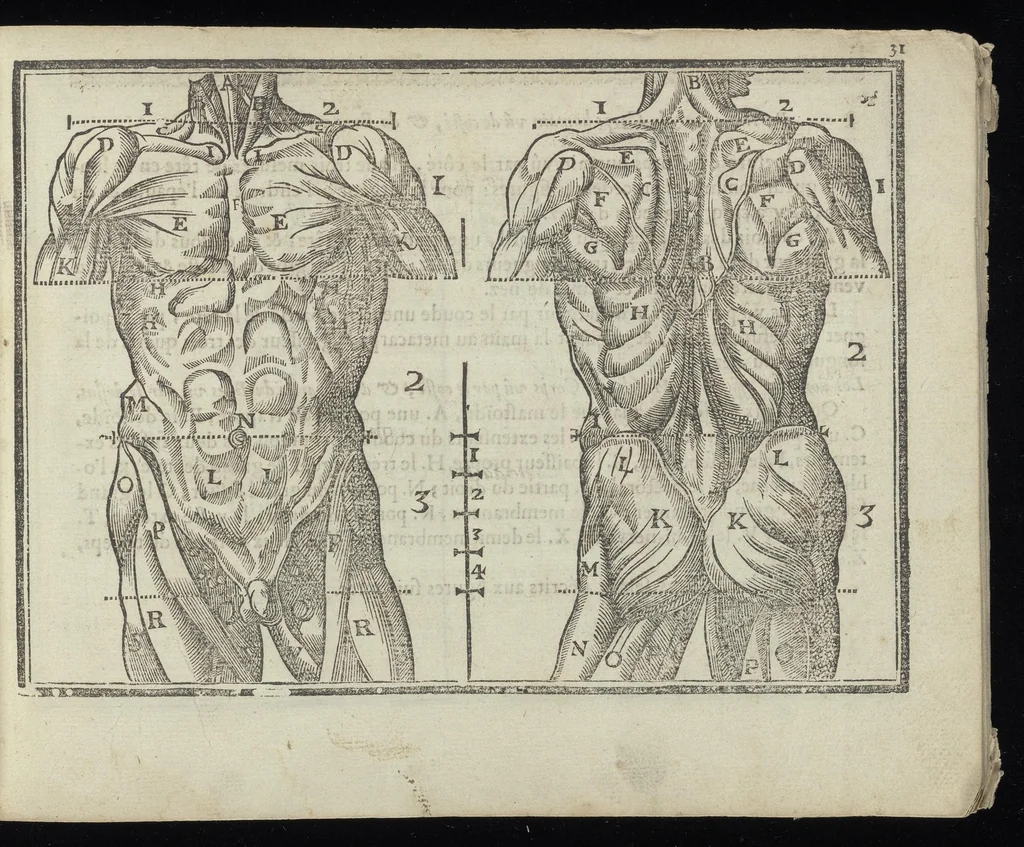 An illustration from L'art de dessiner de Maistre Jean Cousin, 1685, leaf 34