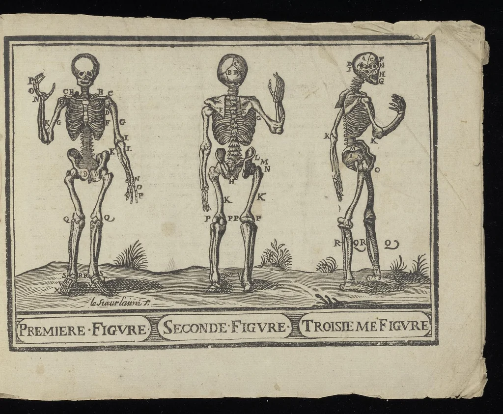 An illustration from L'art de dessiner de Maistre Jean Cousin, 1685, leaf 74
