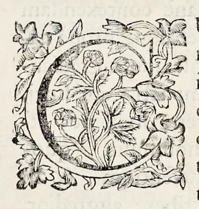 An illustration from Bellum Lusitanum : ejusque regni separatio a regno Castellensi cum abrogatione superadjecta Alfonsi regis Lusitani, 1684, leaf 10