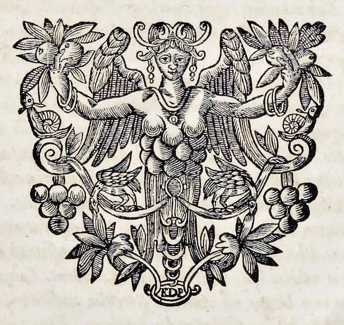 An illustration from Bellum Lusitanum : ejusque regni separatio a regno Castellensi cum abrogatione superadjecta Alfonsi regis Lusitani, 1684, leaf 12