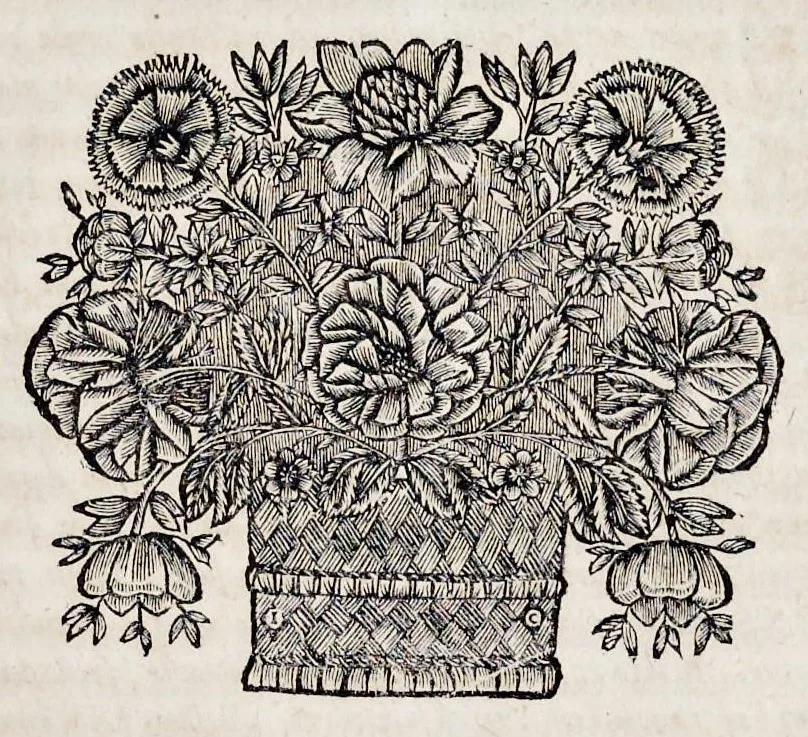 An illustration from Bellum Lusitanum : ejusque regni separatio a regno Castellensi cum abrogatione superadjecta Alfonsi regis Lusitani, 1684, leaf 148