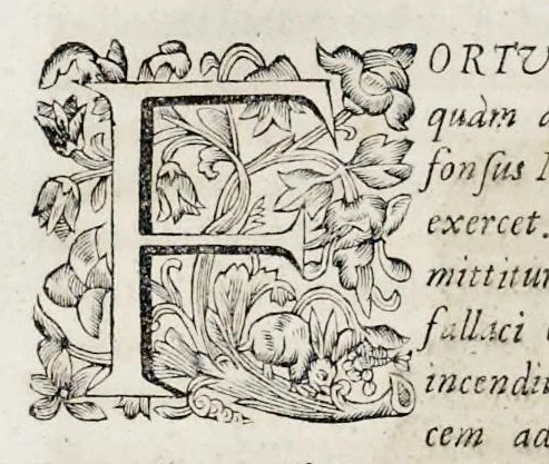 An illustration from Bellum Lusitanum : ejusque regni separatio a regno Castellensi cum abrogatione superadjecta Alfonsi regis Lusitani, 1684, leaf 149