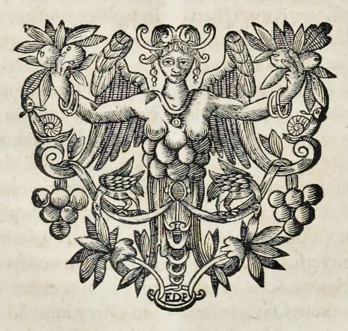 An illustration from Bellum Lusitanum : ejusque regni separatio a regno Castellensi cum abrogatione superadjecta Alfonsi regis Lusitani, 1684, leaf 197