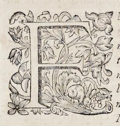 An illustration from Bellum Lusitanum : ejusque regni separatio a regno Castellensi cum abrogatione superadjecta Alfonsi regis Lusitani, 1684, leaf 198