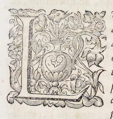 An illustration from Bellum Lusitanum : ejusque regni separatio a regno Castellensi cum abrogatione superadjecta Alfonsi regis Lusitani, 1684, leaf 24